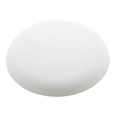 RPP frisbee