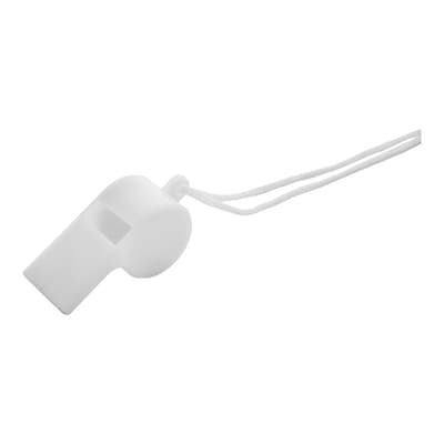 Whistle