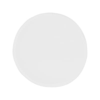 Frisbee