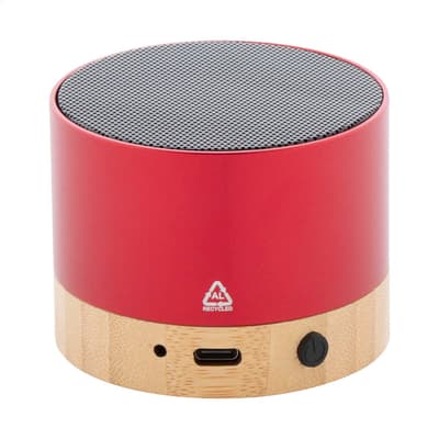 Wireless speaker