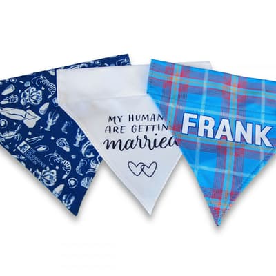 Dog Bandana