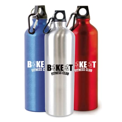 Pollock Glossy 1litre Sports Bottle