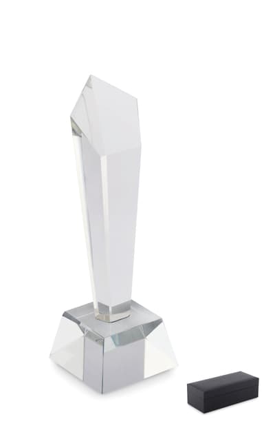 Crystal Award In A Gift Box