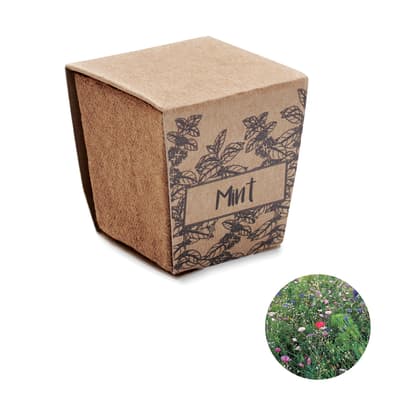 Mint Seeds Growing Kit