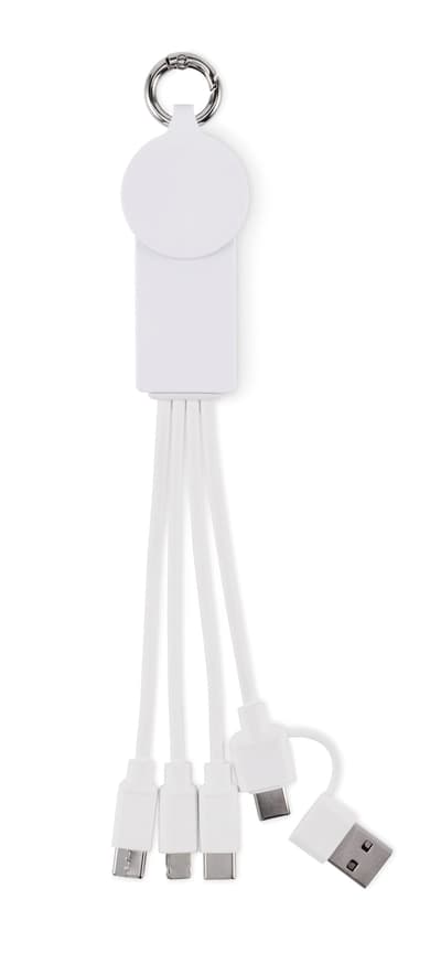 Recycled 2 In 1 Charging Cable Type-c