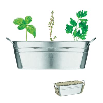 Zinc Tub With 3 Herbs Seeds