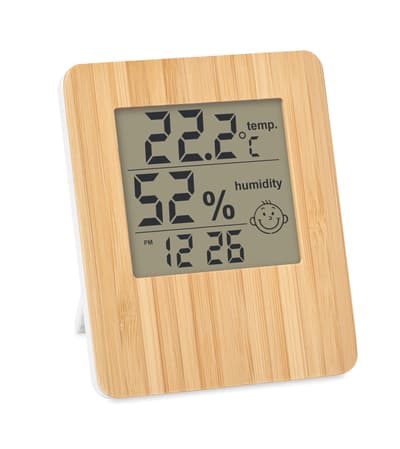 Bamboo Weather Station