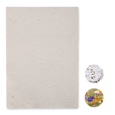 Recycled A4 Wildflower Seed Paper Sheet