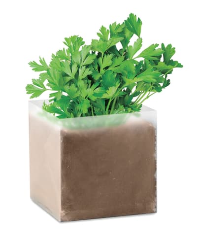 Compost With Seeds "parsley"