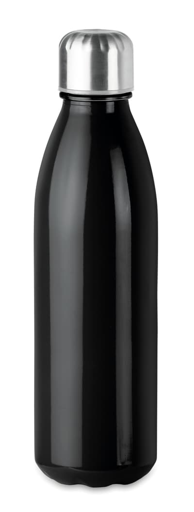 Stainless Steel Glass Drinking Water Bottle 650ml