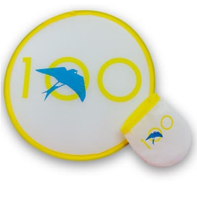 Folding Frisbee