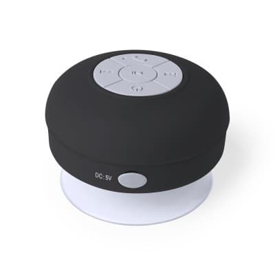 Speaker