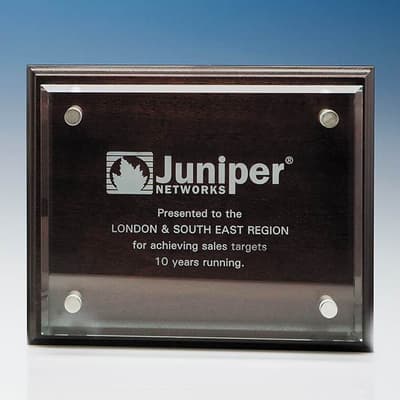 Promotional 15.5cm x 20.5cm Clear Rectangle mounted on a Mahogany Plaque