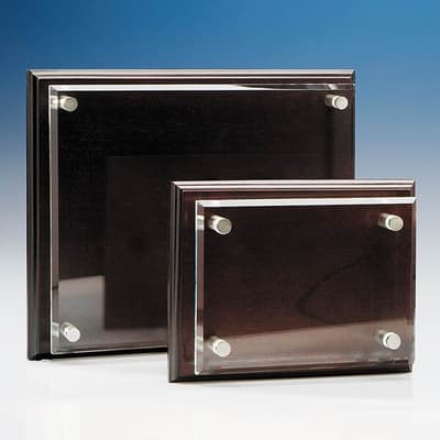 Promotional 25.5cm x 30.5cm Clear Rectangle mounted on a Mahogany Plaque