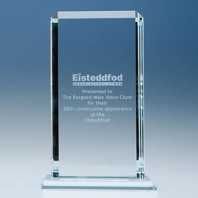 Custom Printed 23cm x 12.75cm x 12mm Clear Glass Echo Award