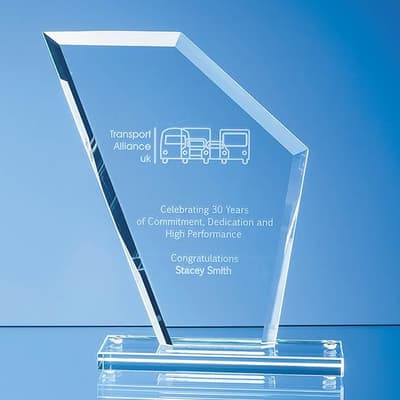 Custom Printed 17.5cm x 15.5cm x 1cm Jade Glass Bevelled Edge Wing Award