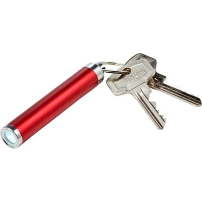 The Zola -  Light up logo torch key ring 
