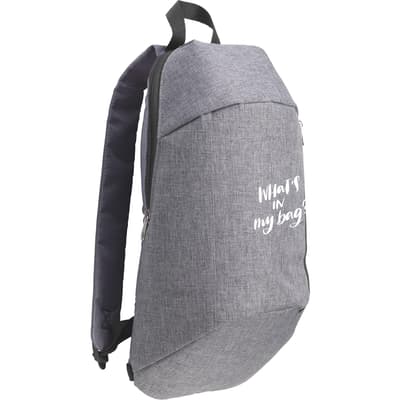 Cooler backpack