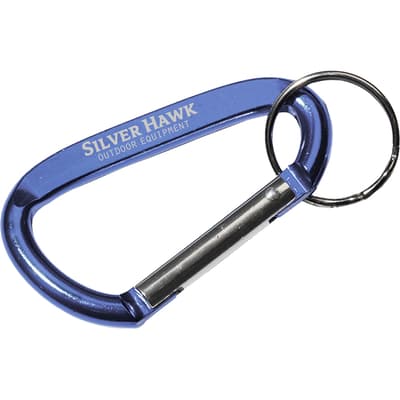 Carabiner keyring
