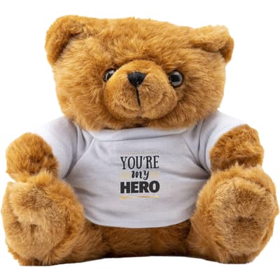 Big Browny bear soft toy