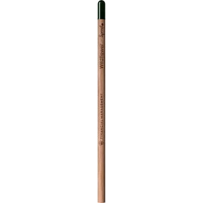 Sproutworld unsharpened pencil