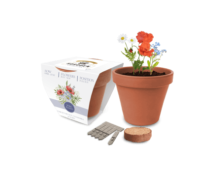 Essentials Clay Pot Seed Gardens