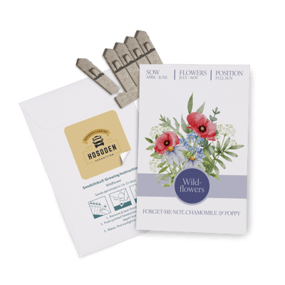 Essentials Seed Packet Envelopes