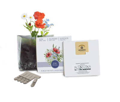 Express Letterbox Seed Gardens
