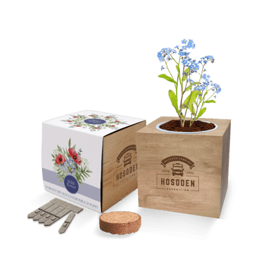 Express Desktop Cube Seed Gardens