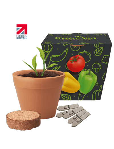 Recycled Pot Seed Gardens
