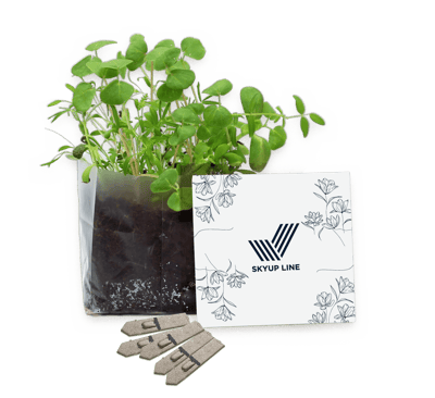 Letterbox Seed Gardens