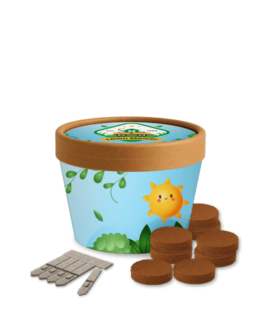 Desktop Cup Gardens