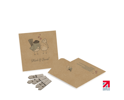 Small Seed Packet Envelopes - Kraft