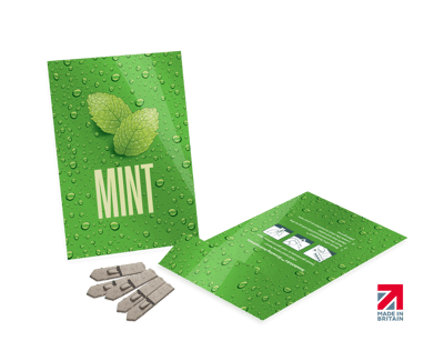 Medium Seed Packet Envelopes - Gloss