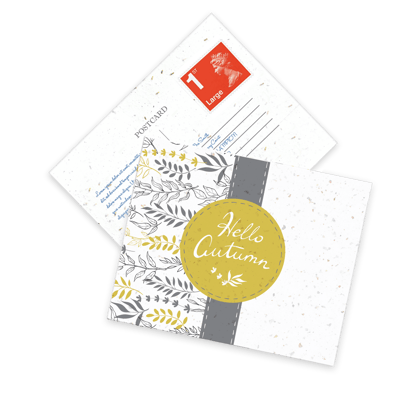 Seeded Paper Postcards A6 (2PP)