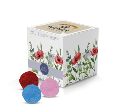 Super Express Essentials Rainball Seed Cubes
