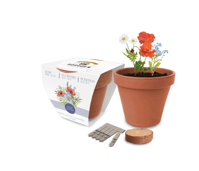 Super Express Essentials Clay Pot Seed Gardens