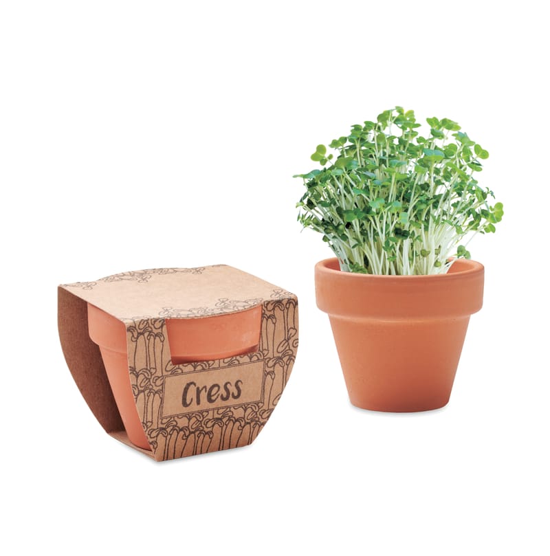 Promotional Terracotta Pot Cress Seeds