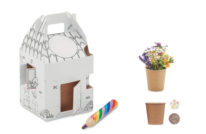 Promotional House Shaped Seeds Grow Set