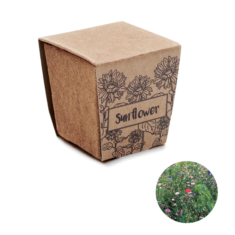 Promotional Sunflower Growing Kit