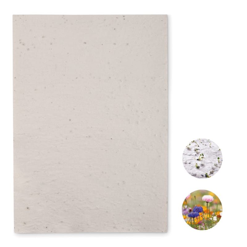 Branded Recycled A4 Wildflower Seed Paper Sheet