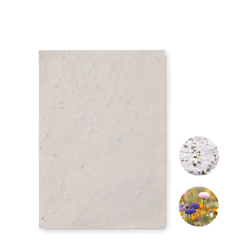 Branded Recycled A6 Wildflower Seed Paper Sheet