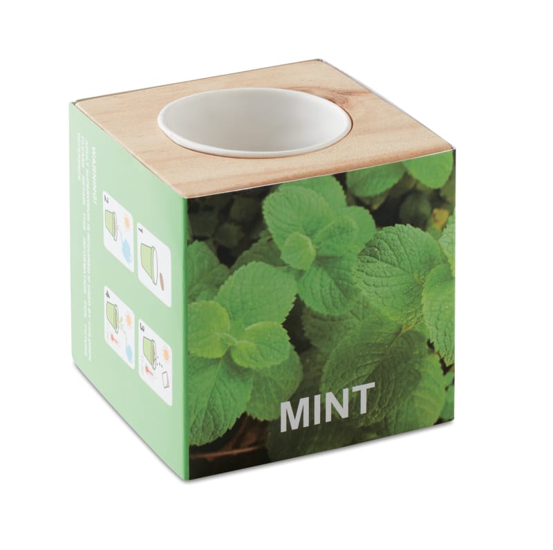 Promotional Herb Pot Wood "mint"