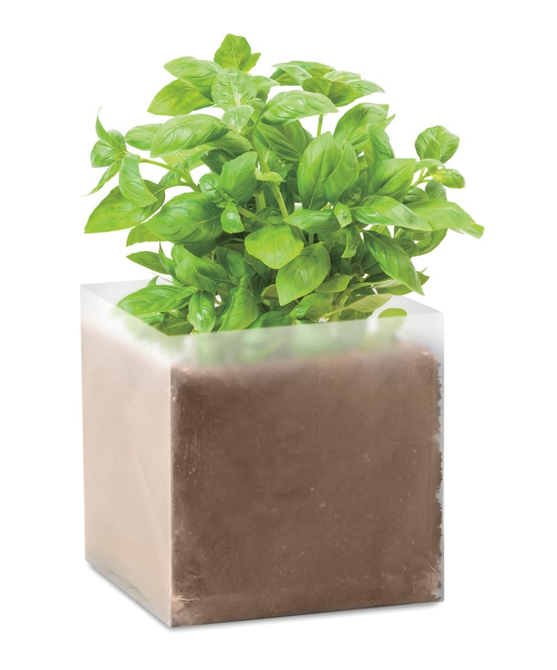 Promotional Compost With Seeds "basil"