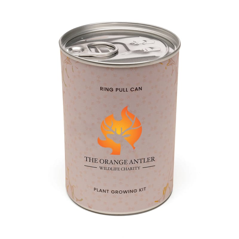 Promotional Pull Can Seed Kit