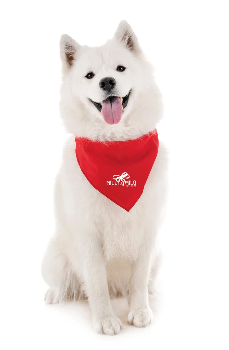 Custom Branded Pet Bandana Big