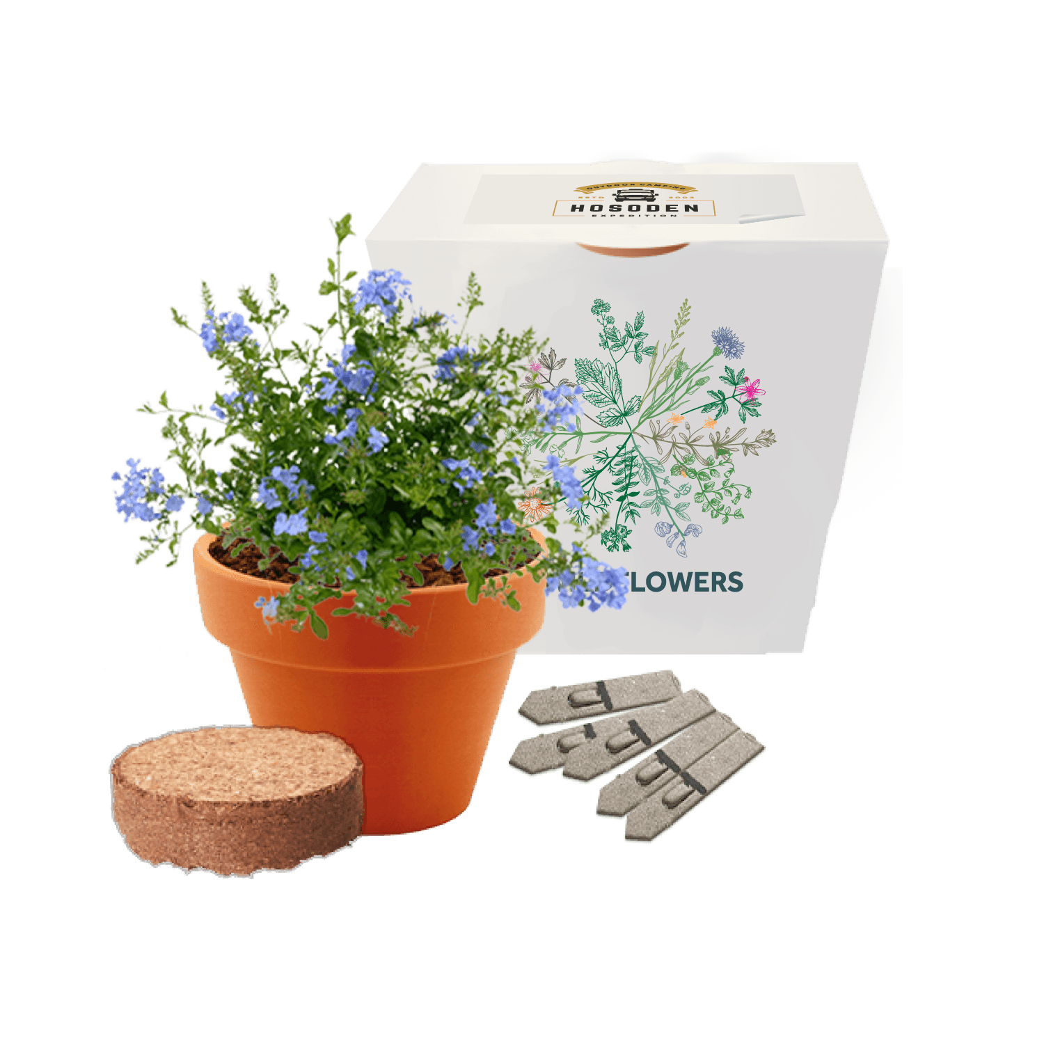 Express Clay Pot Seed Gardens