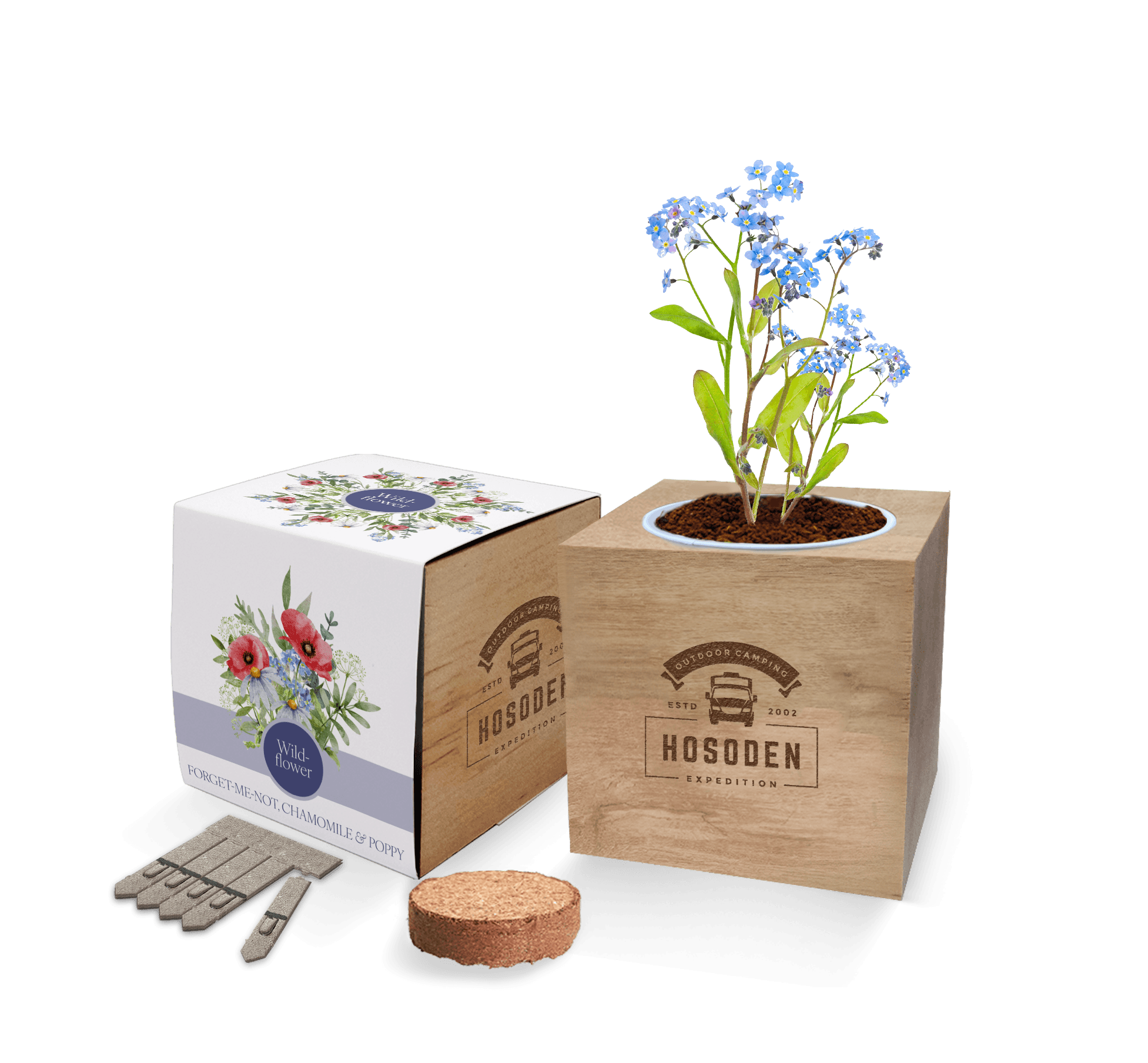 Express Desktop Cube Seed Gardens