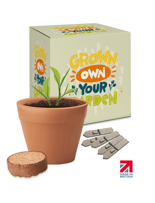 Boxed Pot Seed Gardens