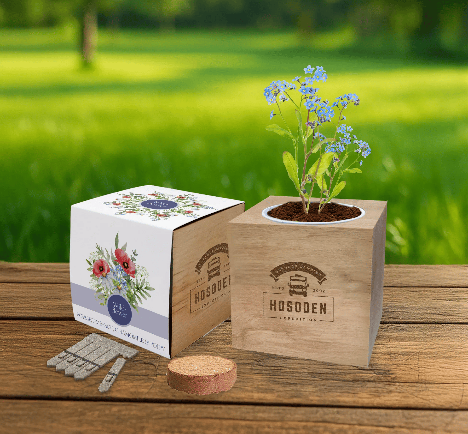 Essentials Desktop Seed Cube Gardens